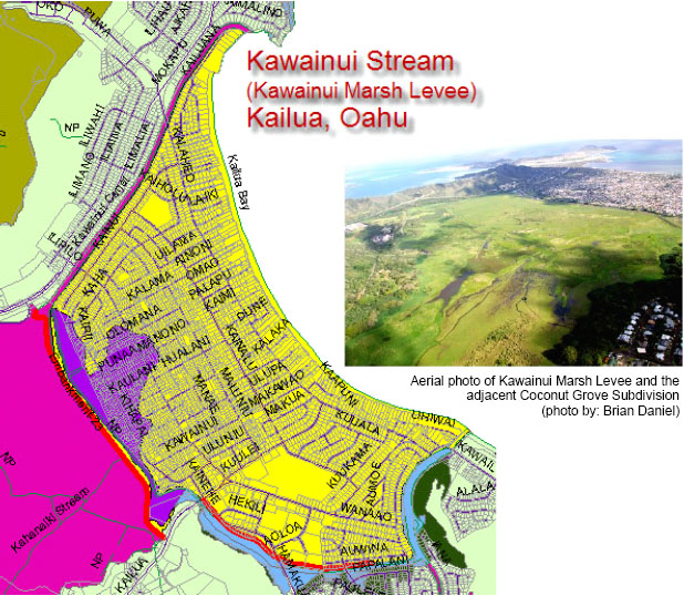 Kawainui Marsh